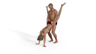 Wheelbarrow Sex Positions