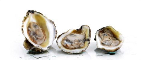 aphrodisiacs