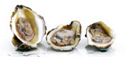 aphrodisiacs