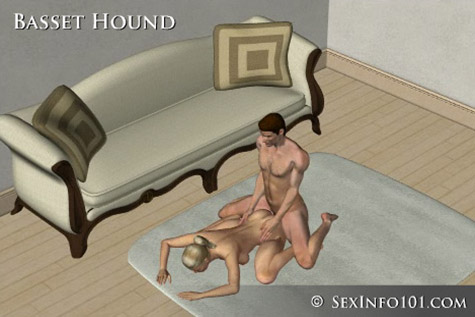 basset hound Sex position